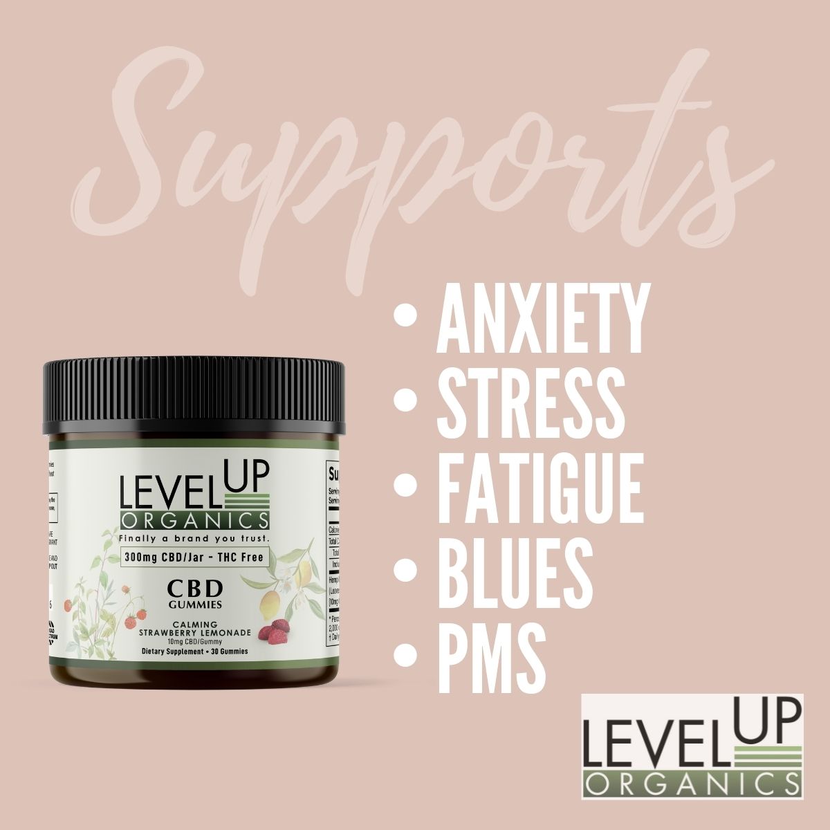Level Up Organics Supports Anxiety, Stress, Fatigue, Blues, PMS